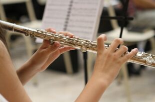 best flute for beginners